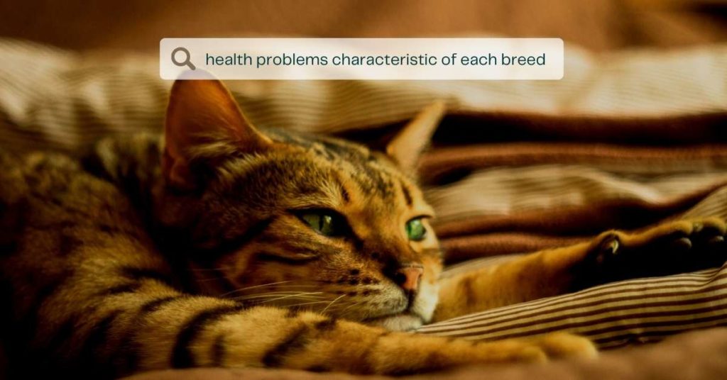 Health Problems Characteristic of Each Breed
