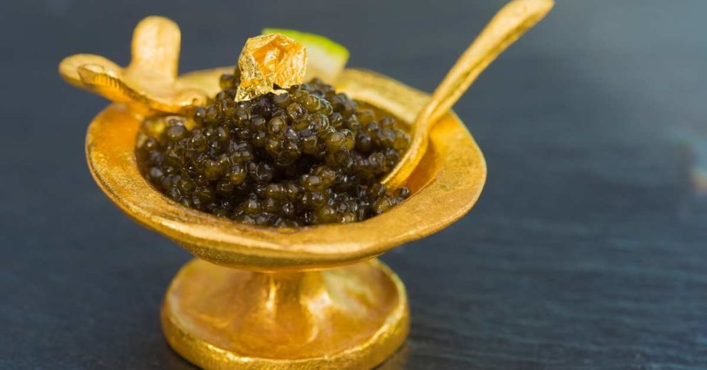 All the Process to Feed Your Cat Caviar