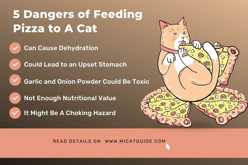 What are The Dangers of Feeding A Cat Pizza