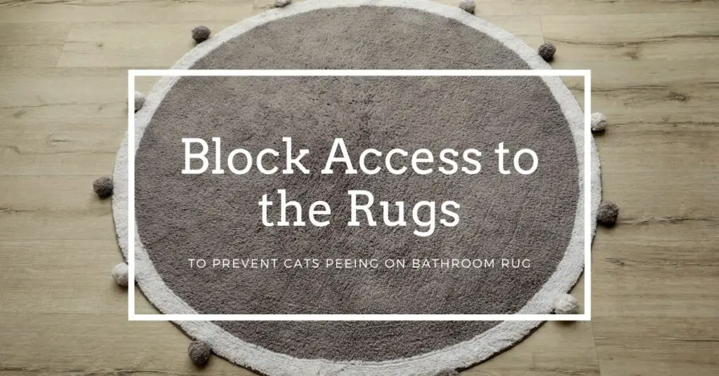 Block Access to the Rugs to Prevent Your Cats from Peeing on Bathroom Rug