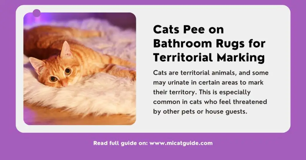 Cats Pee on Bathroom Rugs for Territorial Marking