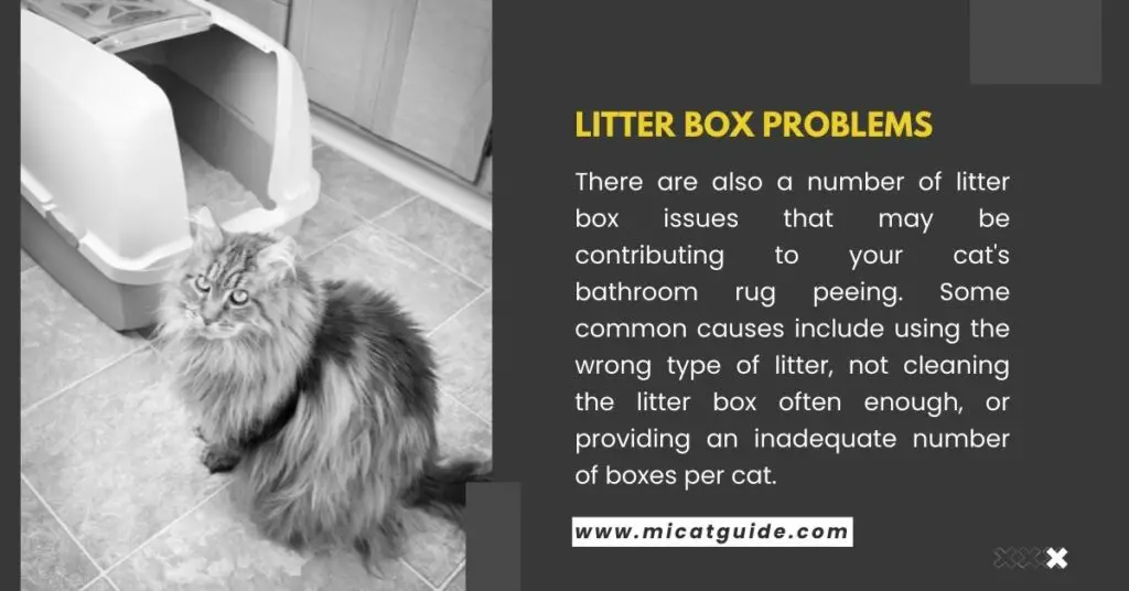 Cats may Pee on Bathroom Rugs for Litter Box Problems