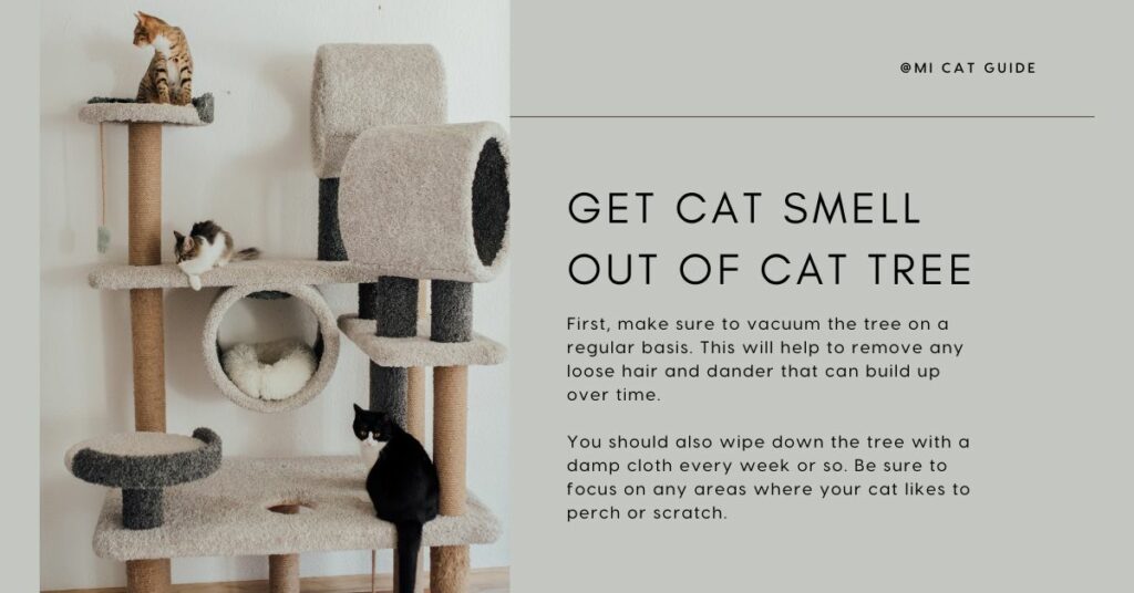 How Do You Get Cat Smell Out of Cat Tree