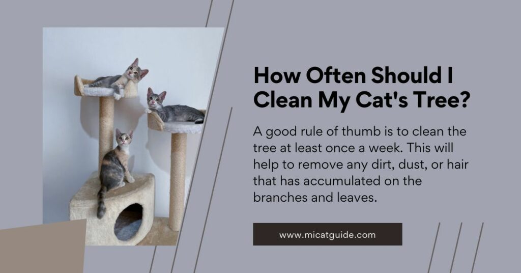 How Often Should I Clean My Cat's Tree