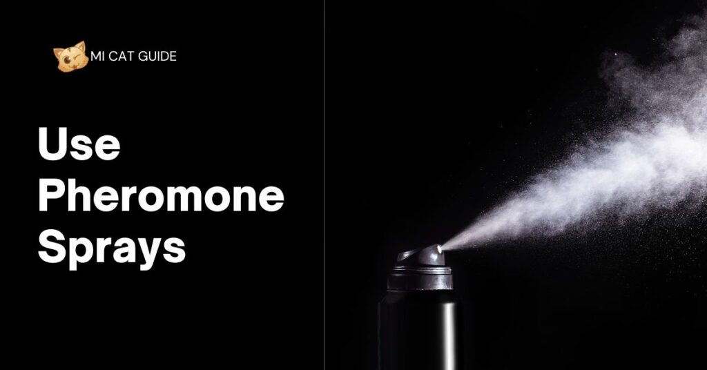 Use Pheromone Sprays If Your Cats Pee On Bathroom Rugs