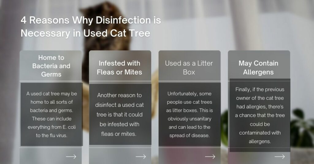 Why Disinfection is Necessary in Used Cat Tree