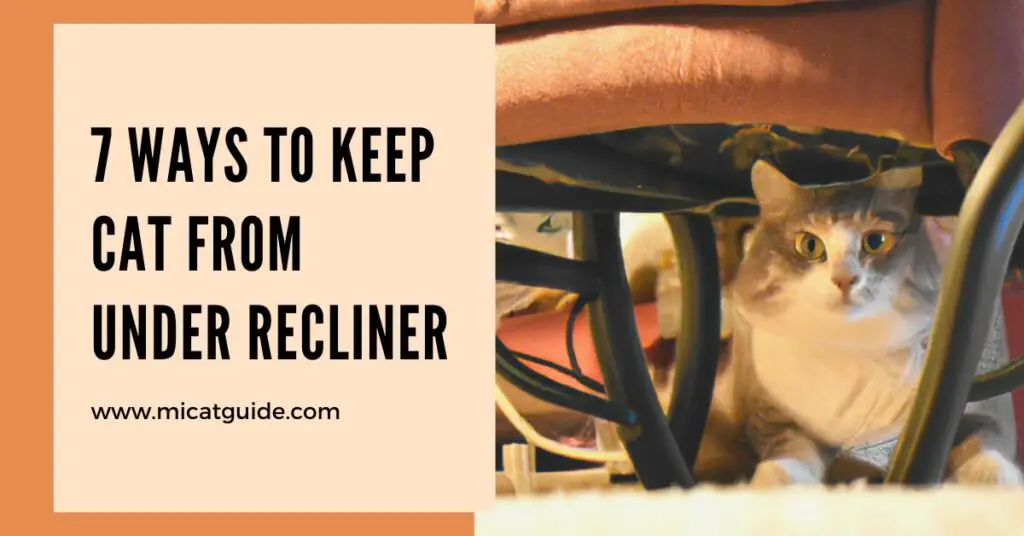 7 Ways to Keep Cat from Under Recliner