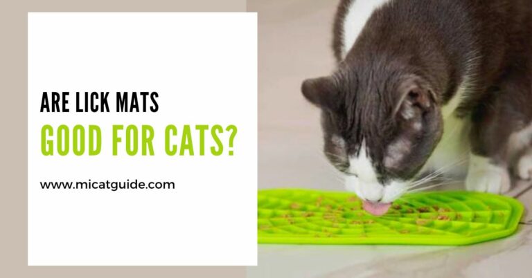 Are Lick Mats Good For Cats? (My Experience)