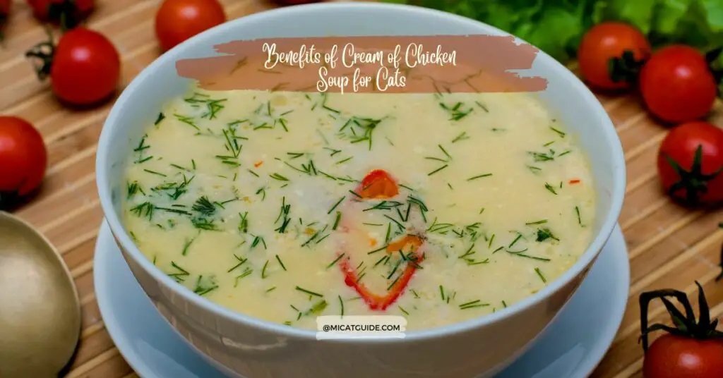 Benefits of Cream of Chicken Soup for Cats