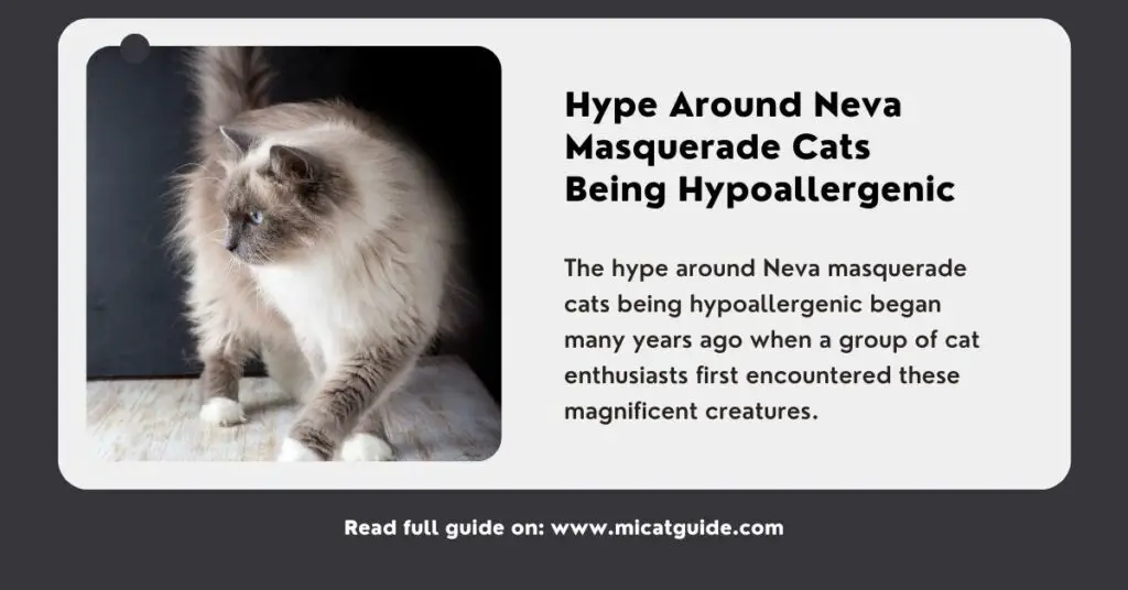 Hype Around Neva Masquerade Cats being Hypoallergenic