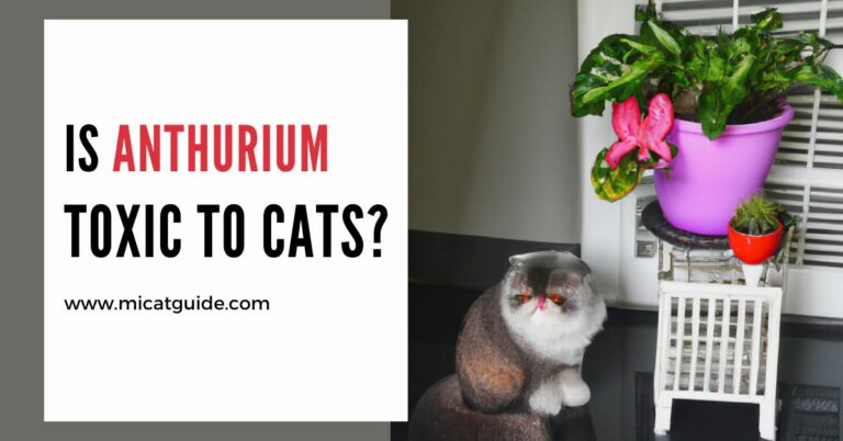 Is Anthurium Toxic to Cats? (Symptoms & Treatments)