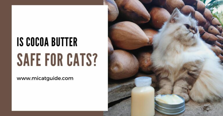 Is Cocoa Butter Safe for Cats? (What May Happen?)