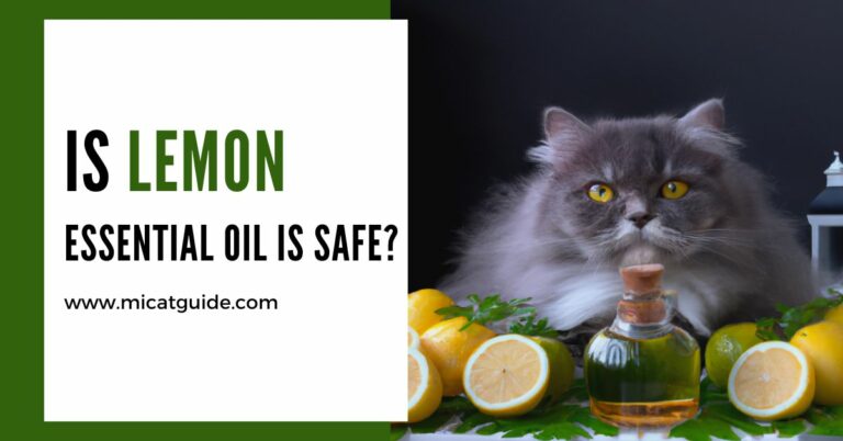 Is Lemon Essential Oil Safe For Cats? (Toxic or Not?)