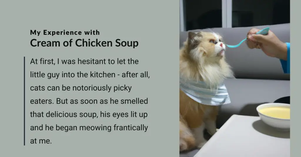 My Experience with Cream of Chicken Soup