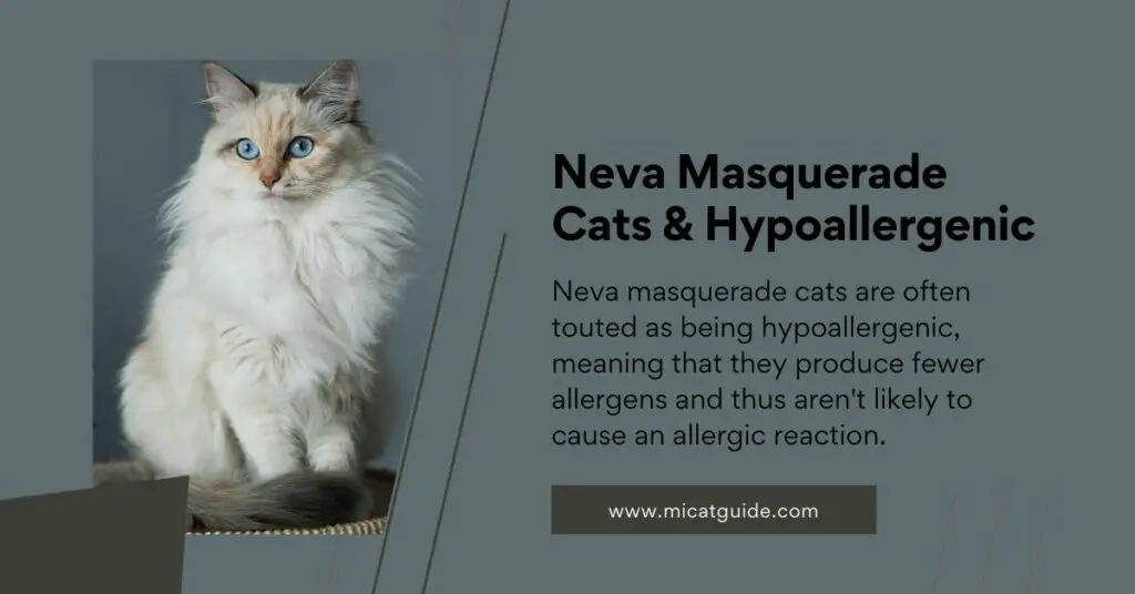 My Explanation about Neva Masquerade Cats & Hypoallergenic