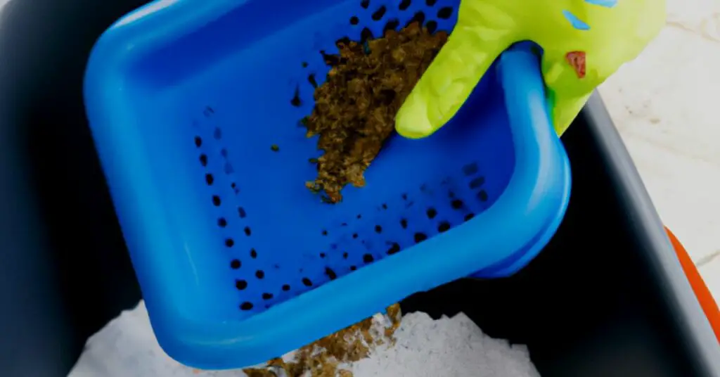 Precautions to Take When Cleaning Your Cat's Litter Box