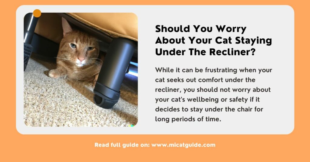 Should You Worry about Your Cat Staying Under the Recliner