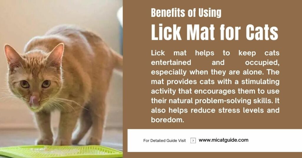 Benefits of Using a Lick Mat for Cats