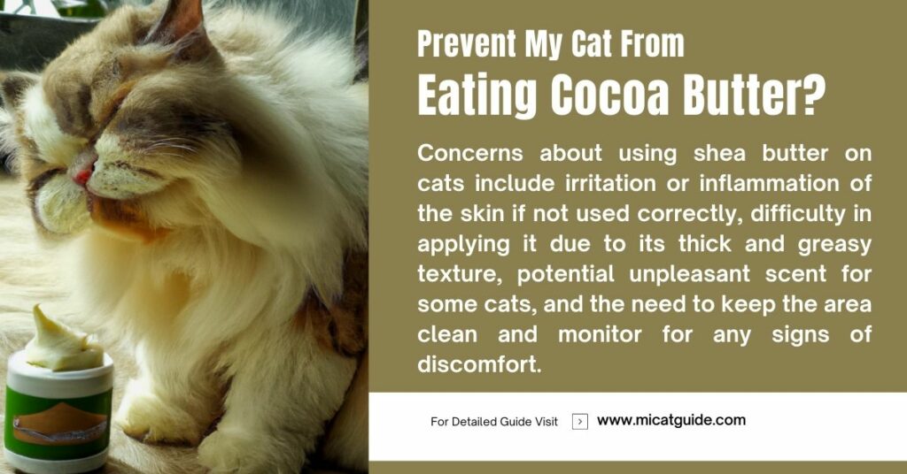 Concerns about Using Shea Butter on Cats