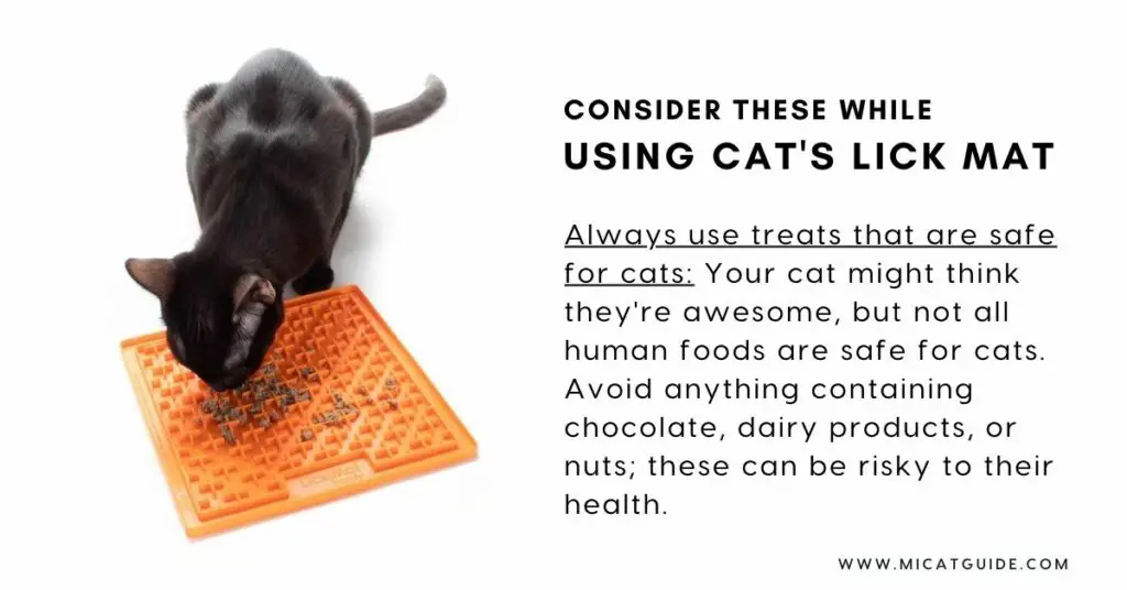 Consider These While Putting Treats on Your Cat's Lick Mat