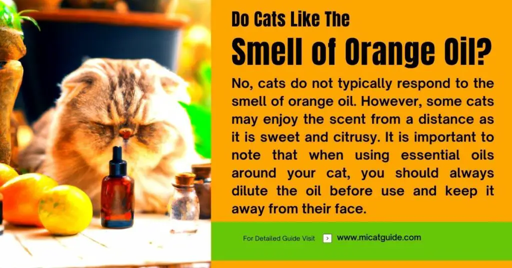Do Cats Like the Smell of Orange Oil 