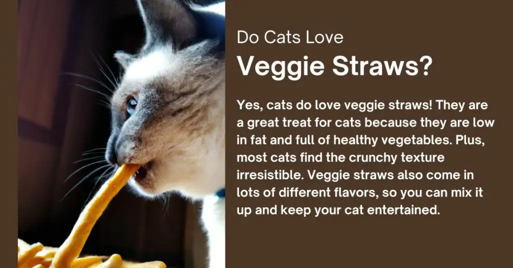 Do Cats Love Veggie Straws