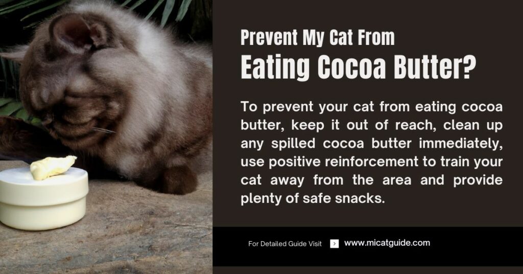 How Can I Prevent My Cat From Eating Cocoa Butter