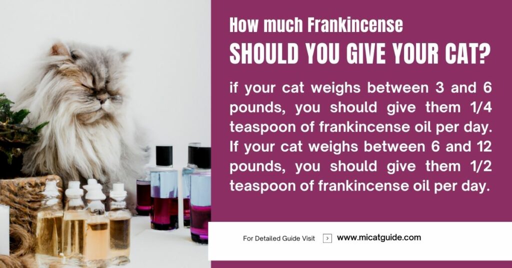 How Much Frankincense Should You Give Your Cat
