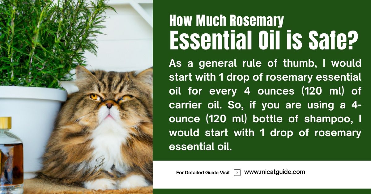 Is Rosemary Essential Oil Safe For Cats? (Yes & How Much?)