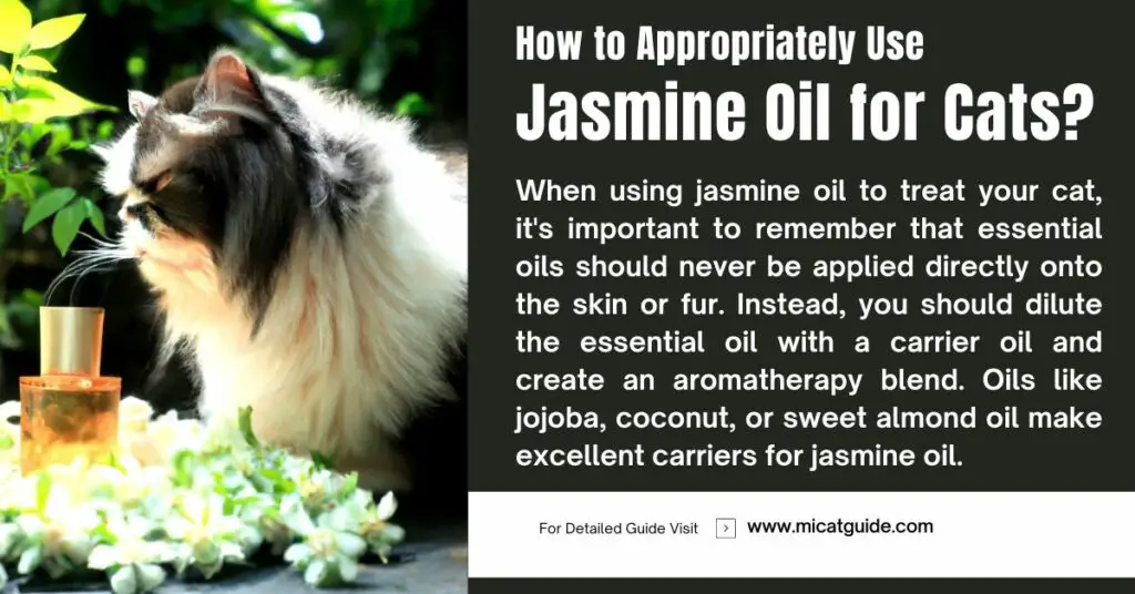 How to Appropriately Use Jasmine Oil for Cats