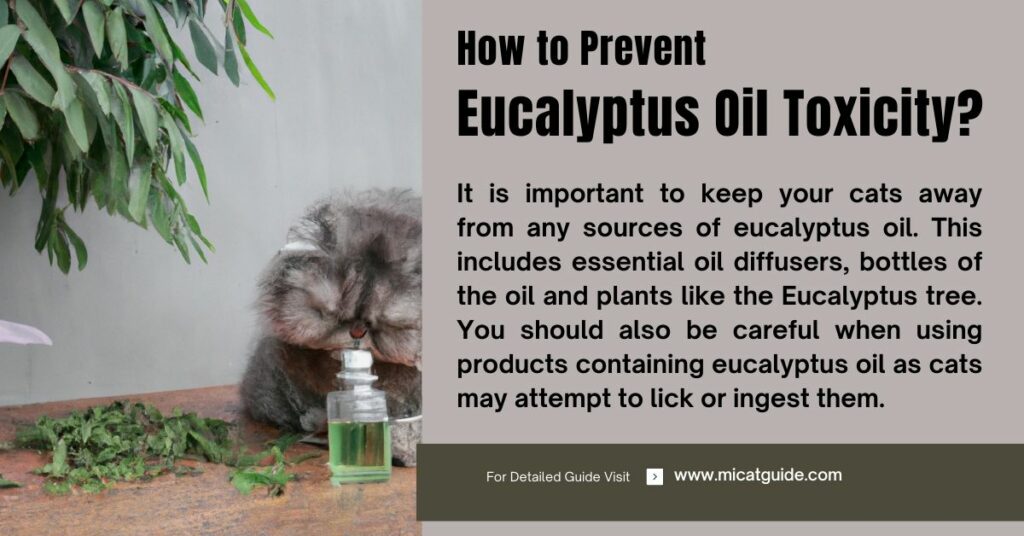 How to Prevent Eucalyptus Oil Toxicity in Cats
