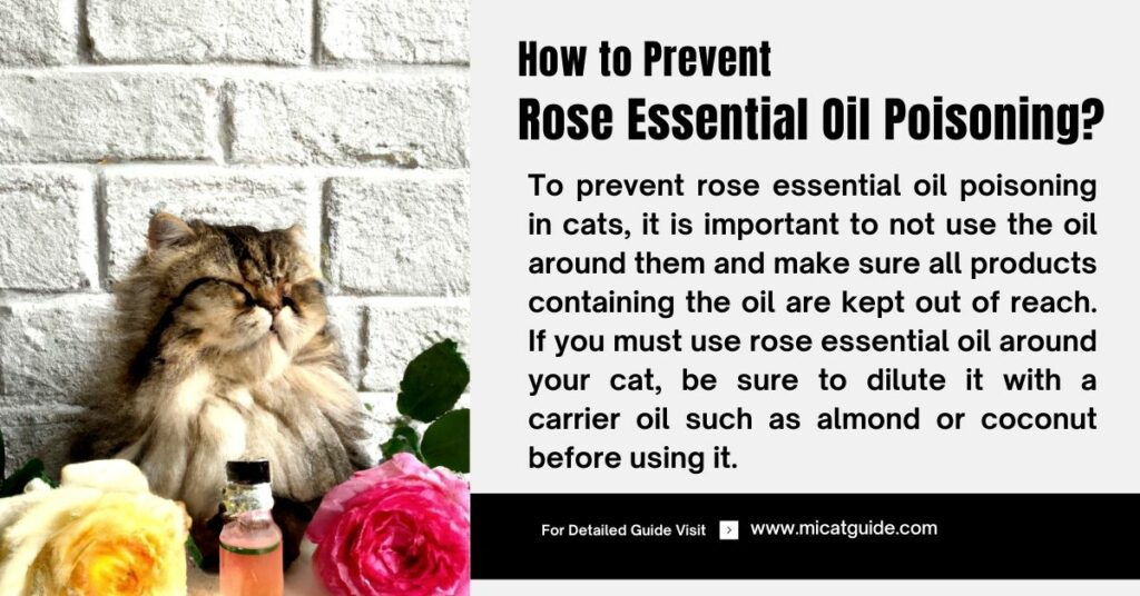 How to Prevent Rose Essential Oil Poisoning