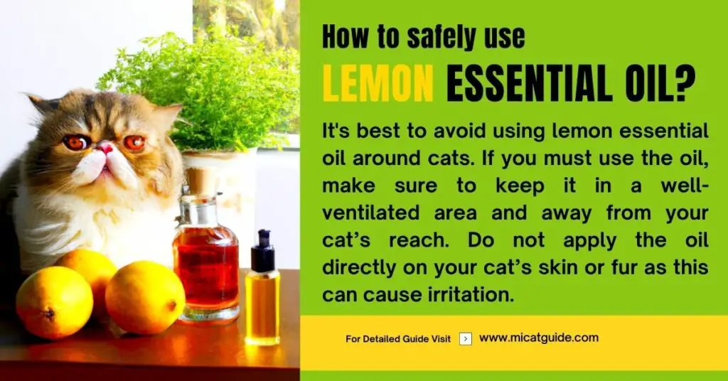 How to Safely Use Lemon Essential Oil around Cats
