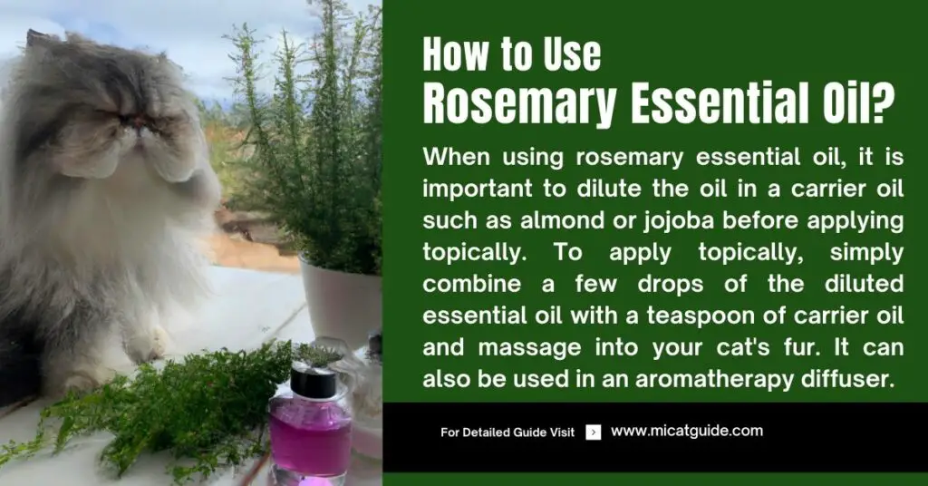 How to Use Rosemary Essential Oil for Cats