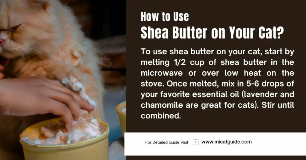 How to Use Shea Butter on Your Cat