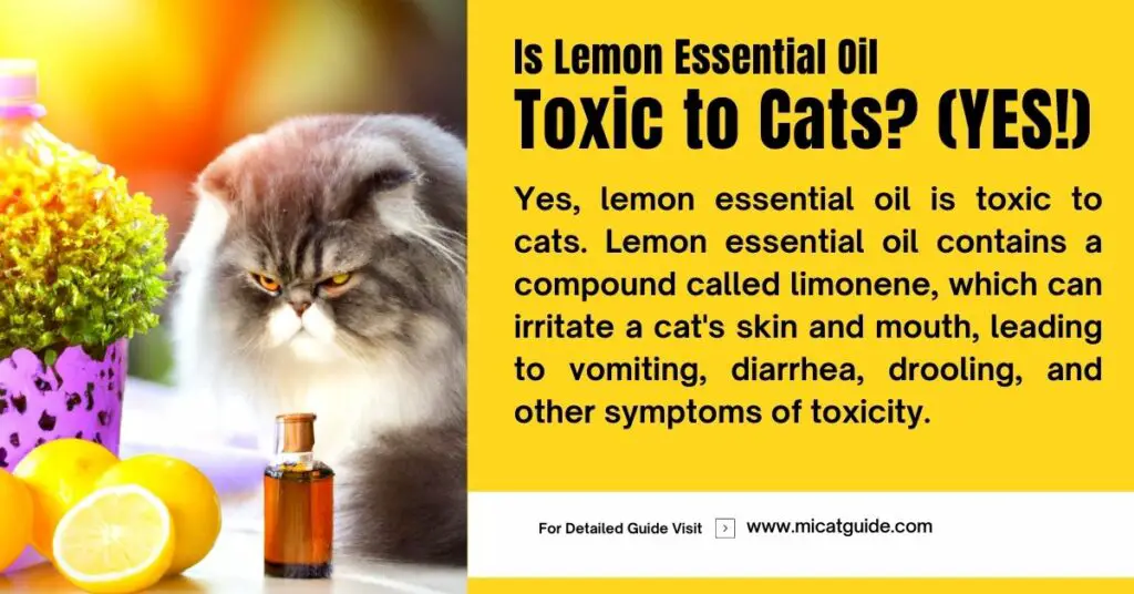 Is Lemon Essential Oil Toxic to Cats
