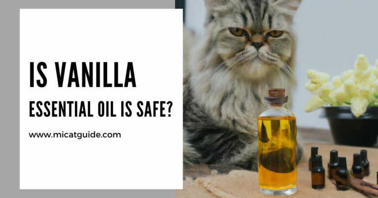 Is Vanilla Essential Oil Safe For Cats? (My Experience)