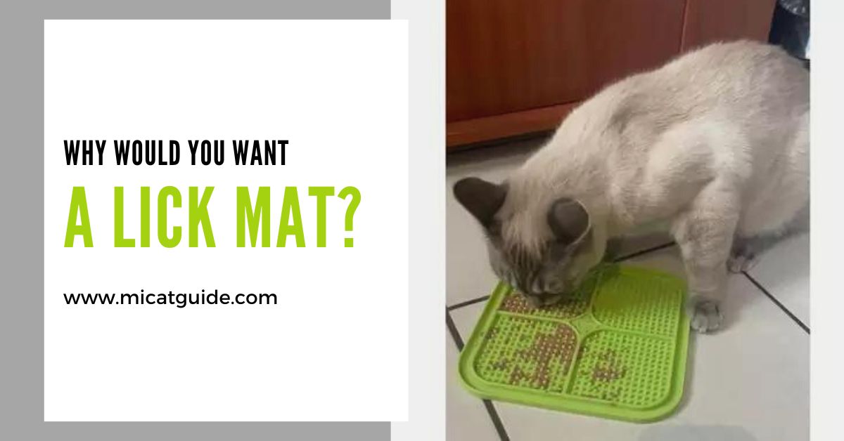 Are Lick Mats Good For Cats? (My Experience) Mi Cat Guide