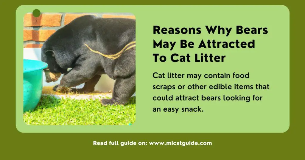 Reasons Why Bears May Be Attracted to Cat Litter