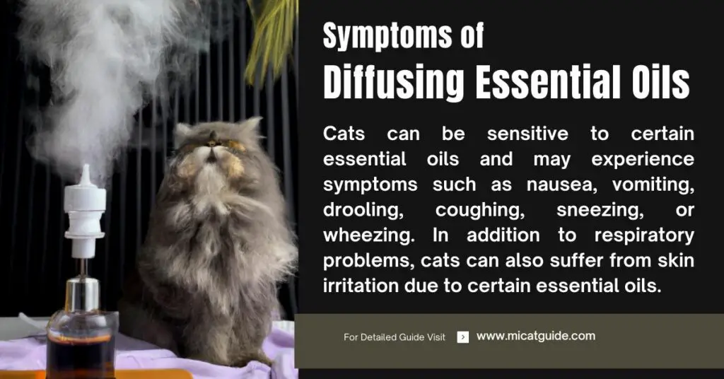 Symptoms of Diffusing Essential Oils Around Cats