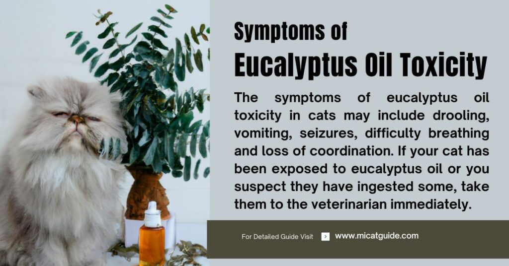 Symptoms of Eucalyptus Oil Toxicity in Cats