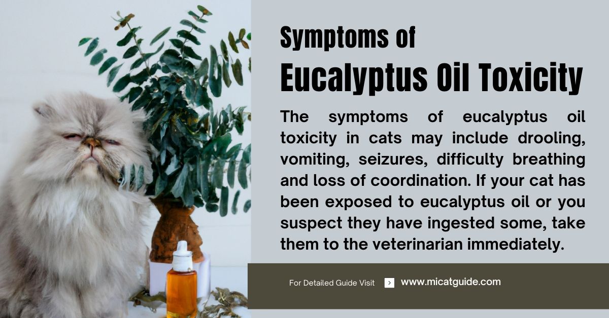 Are Eucalyptus Leaves Toxic To Cats at Shellie Tidwell blog