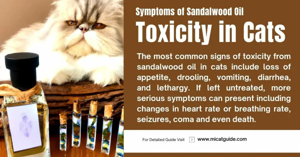 Symptoms of Sandalwood Oil Toxicity in Cats