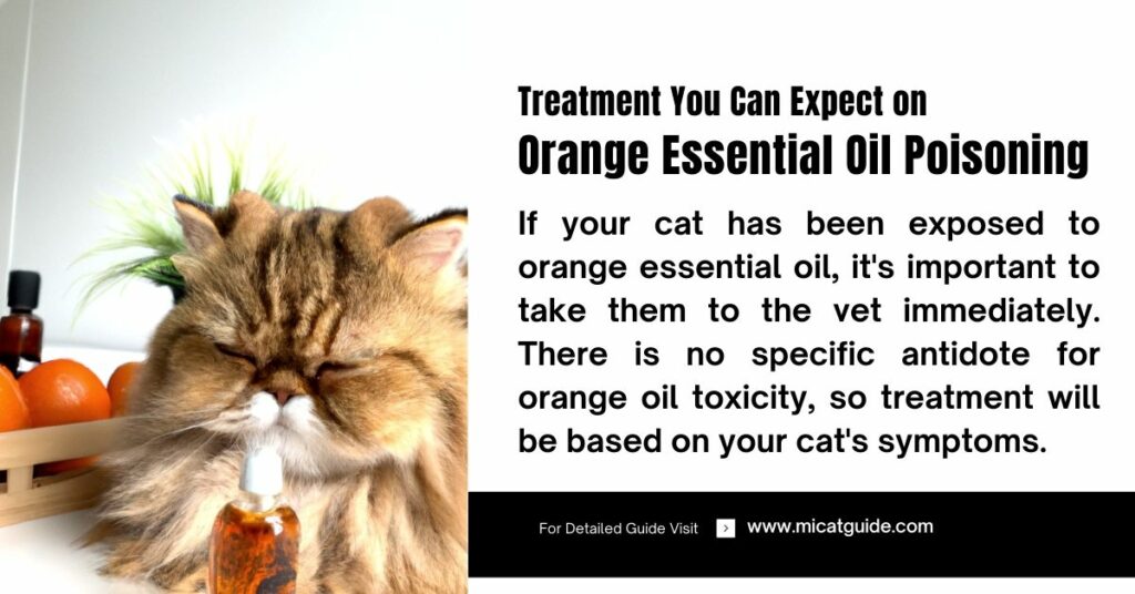 Treatment You Can Expect on Orange Essential Oil Poisoning