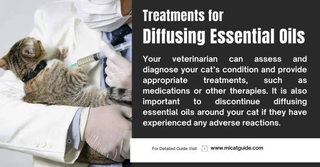 Treatments for Diffusing Essential Oils Around Cats