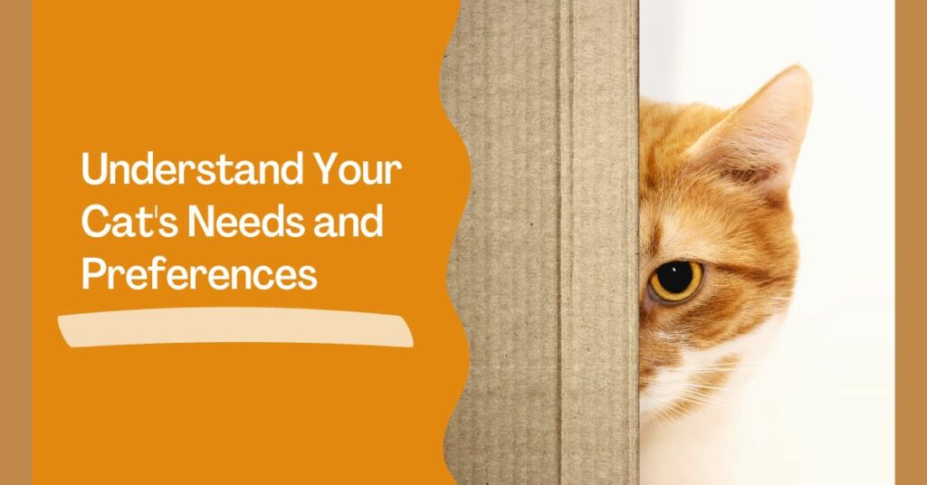 Understand Your Cat's Needs and Preferences