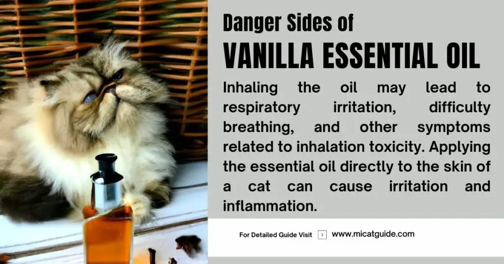 What Dangers Does Vanilla Essential Oil Pose to Cats