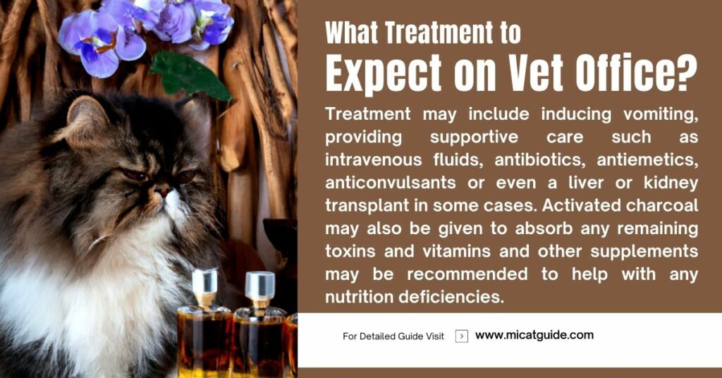 What Treatment to Expect on Vet Office