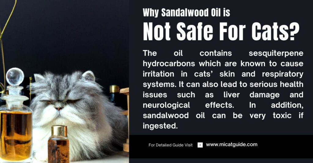 Why Sandalwood Oil is Not Safe For Cats