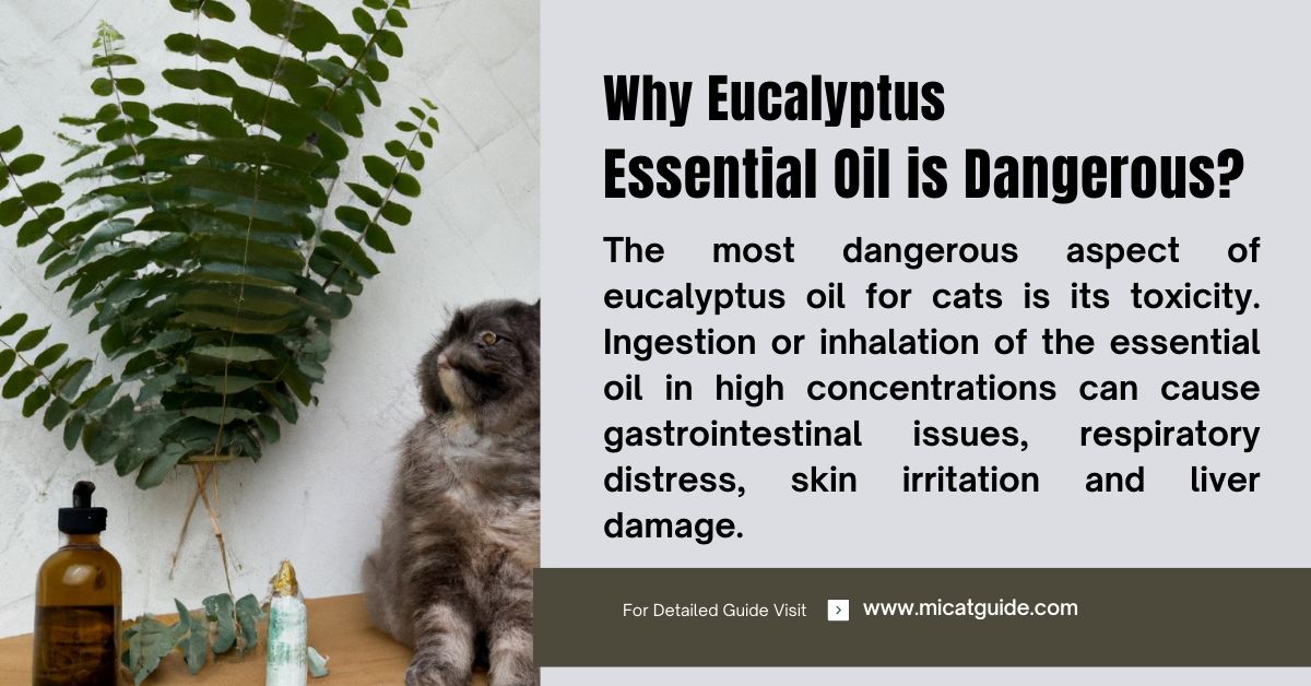 Is Eucalyptus Essential Oil Safe for Cats? (Toxic or Not?)